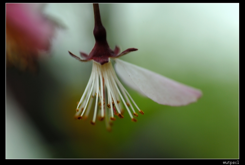dsc_7686048.jpg