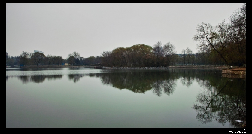 sdim1443.jpg
