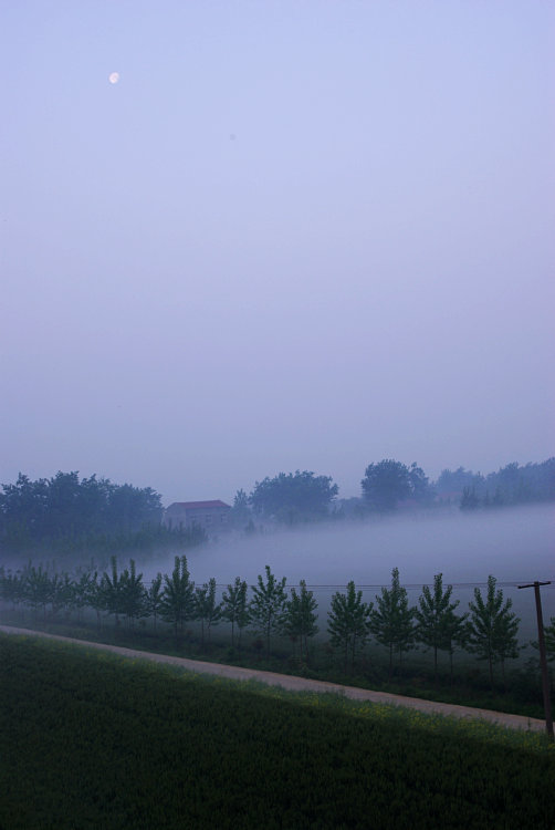 201041216514041820.jpg