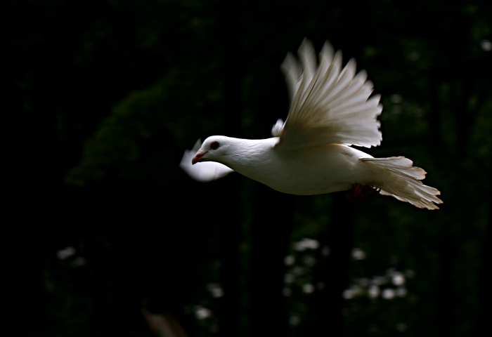 20105102174640823.jpg