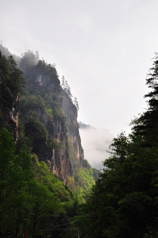 dsc_0041_01.jpg