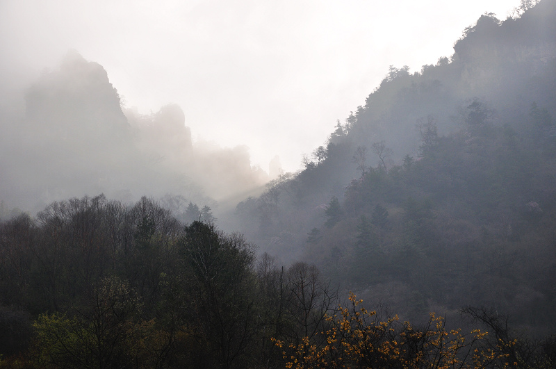 dsc_0084_01.jpg