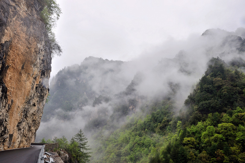 dsc_0774.jpg