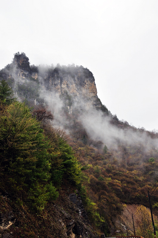dsc_0806.jpg