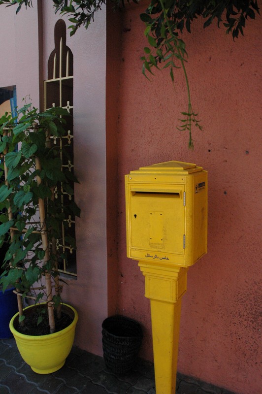 dsc_2468.jpg