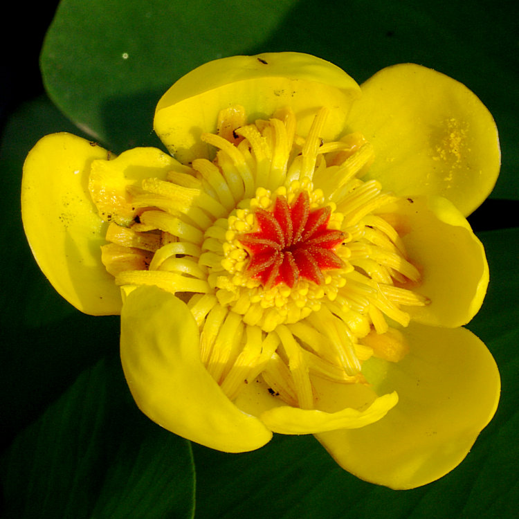 imgp3119.jpg