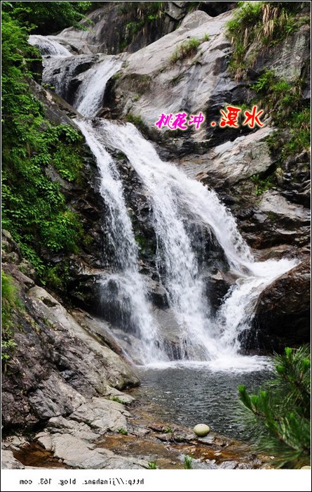 neo_img_neo_img_dsc_2438.jpg