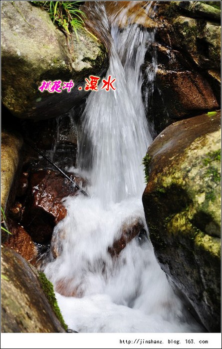 neo_img_neo_img_dsc_2357.jpg