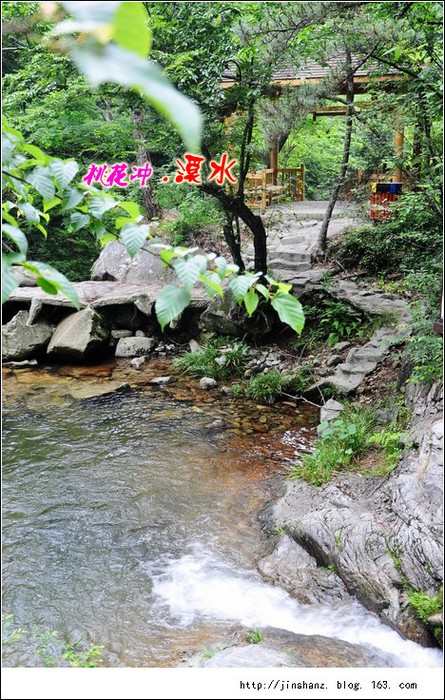 neo_img_neo_img_dsc_2377.jpg