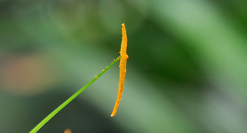 dsc_0108.jpg