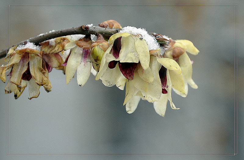 dsc_0321.jpg