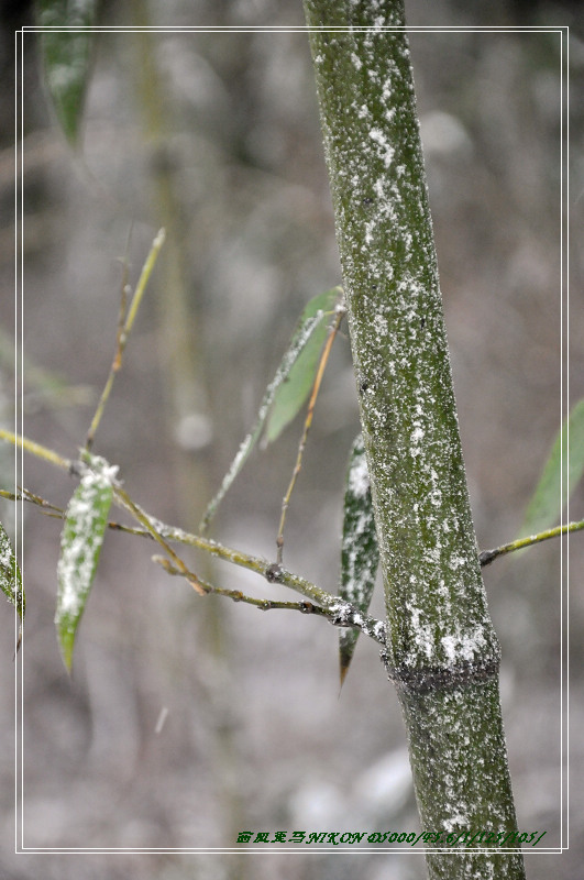 dsc_0102.jpg
