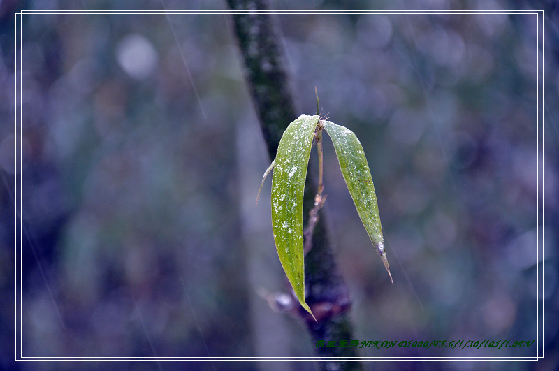 dsc_0123.jpg