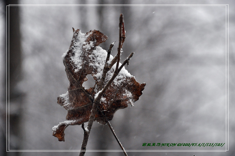 dsc_0084.jpg