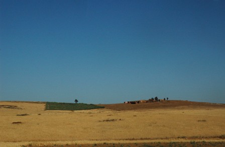 dsc_2650.jpg