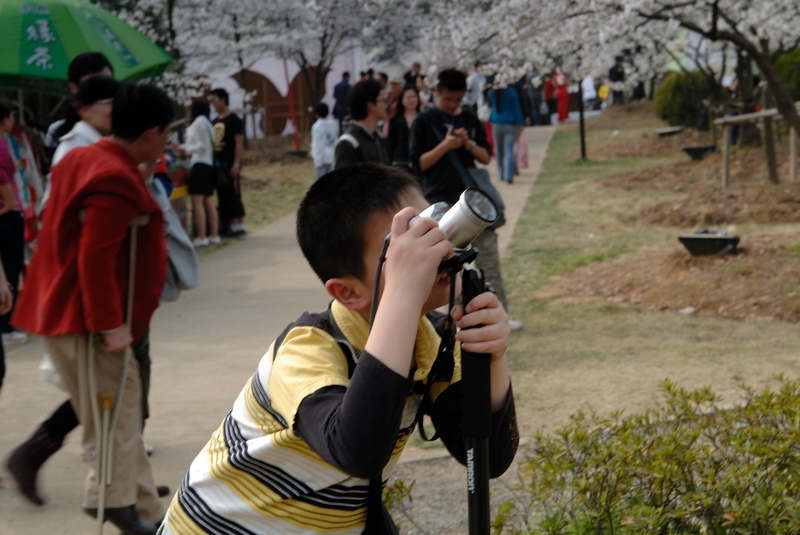 dsc_7124216.jpg