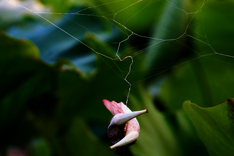 20100707_8057.jpg