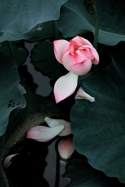 201063015555352328.jpg