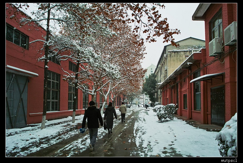 sdim1306.jpg