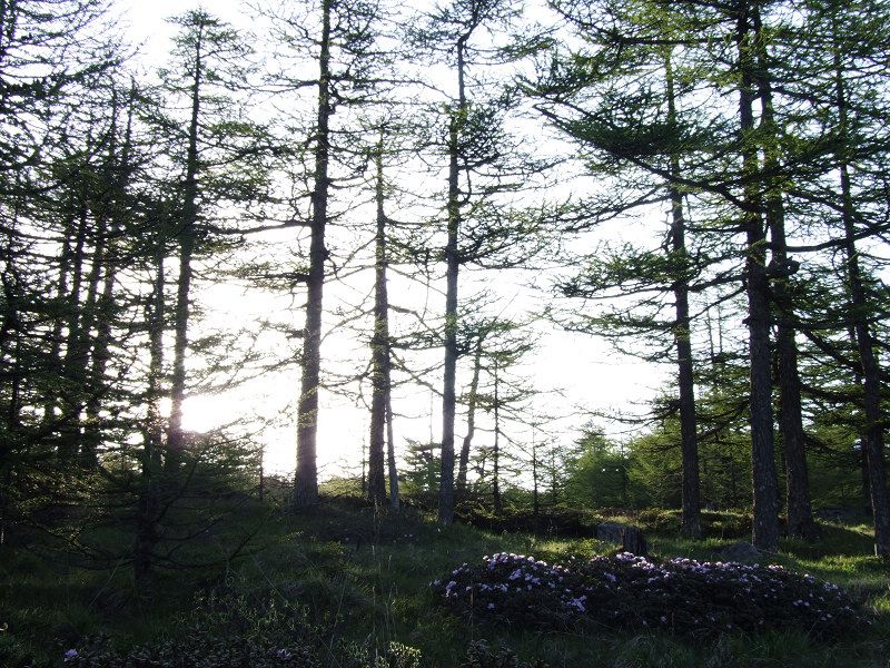 dscf7494.jpg