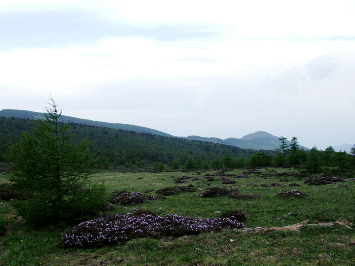 dscf7480.jpg