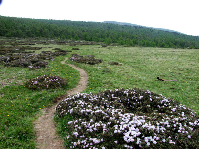 dscf7484.jpg
