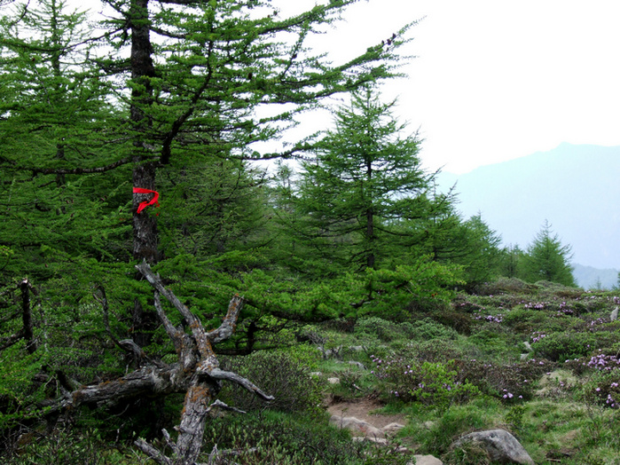 dscf7489.jpg