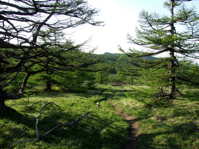 dscf7507.jpg