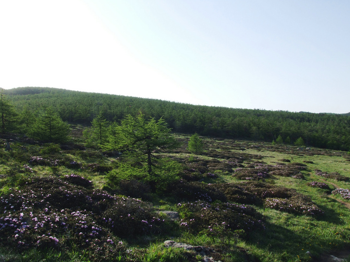 dscf7508.jpg