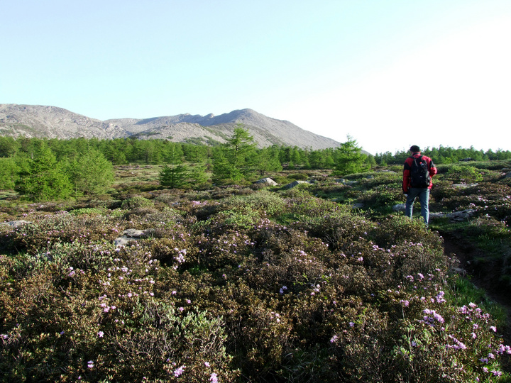 dscf7498.jpg