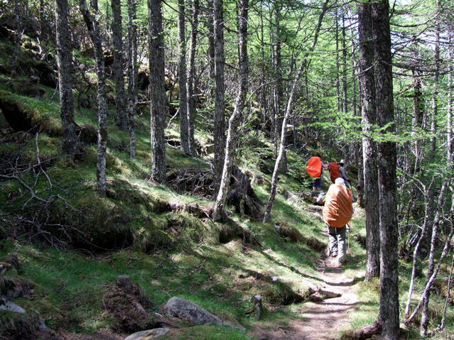 dscf7513.jpg