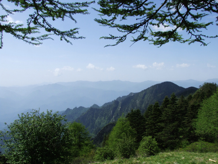 dscf7514.jpg