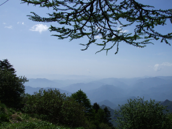 dscf7515.jpg