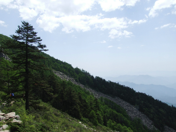 dscf7524.jpg