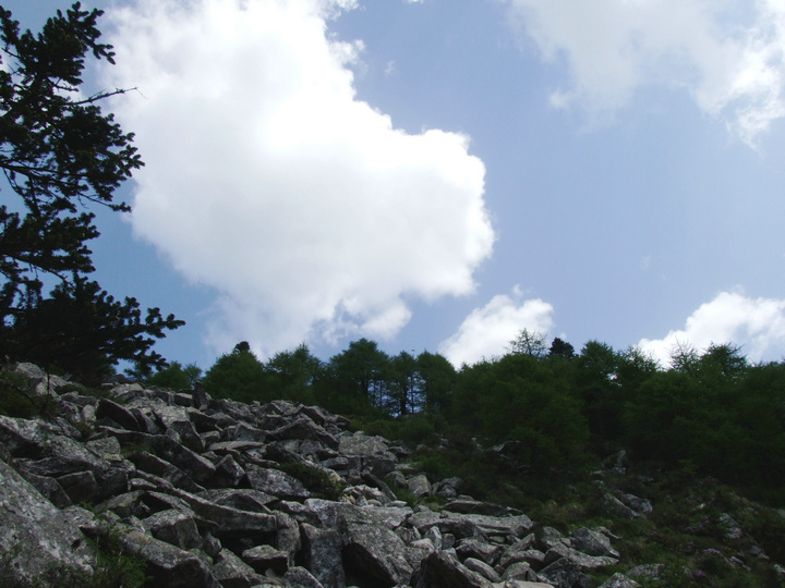 dscf7528.jpg