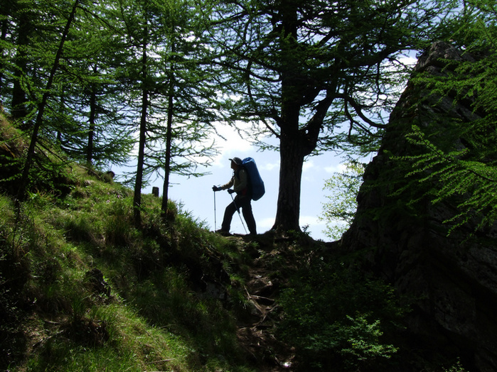 dscf7534.jpg