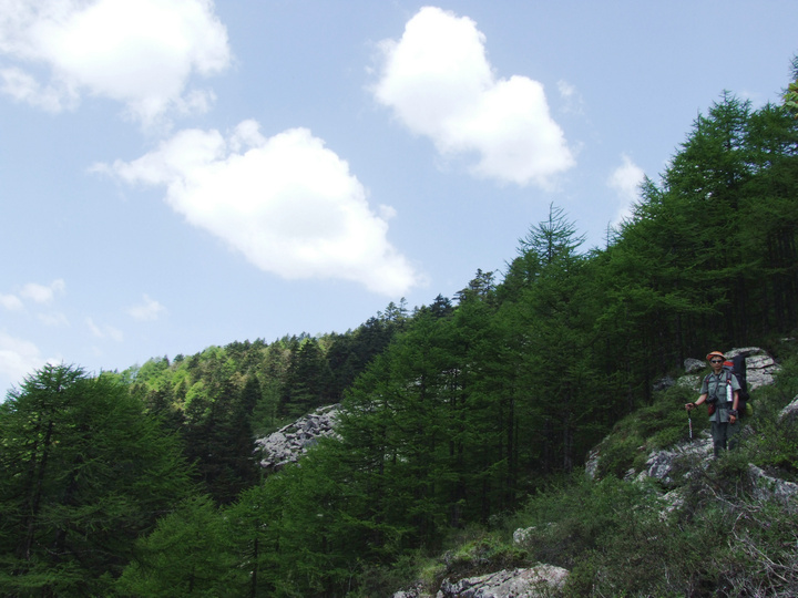 dscf7532.jpg