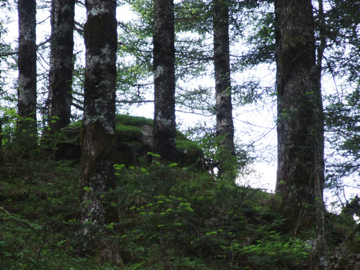 dscf7553.jpg