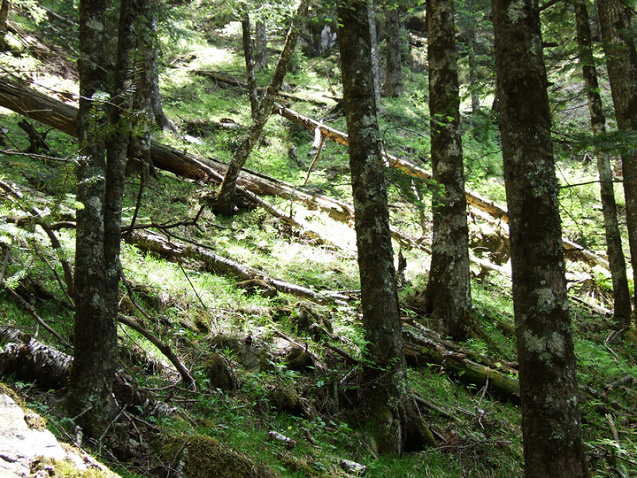 dscf7554.jpg