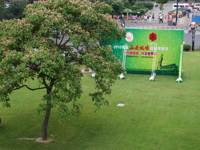 dscf7596.jpg