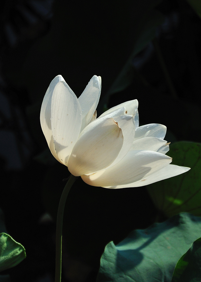 dsc_0206--2.jpg