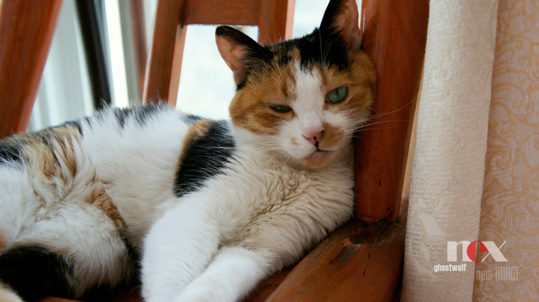 dsc00317.jpg