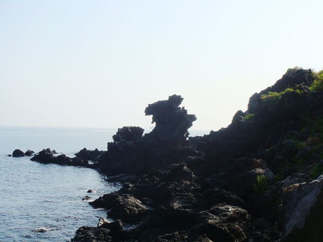 dsc01716.jpg