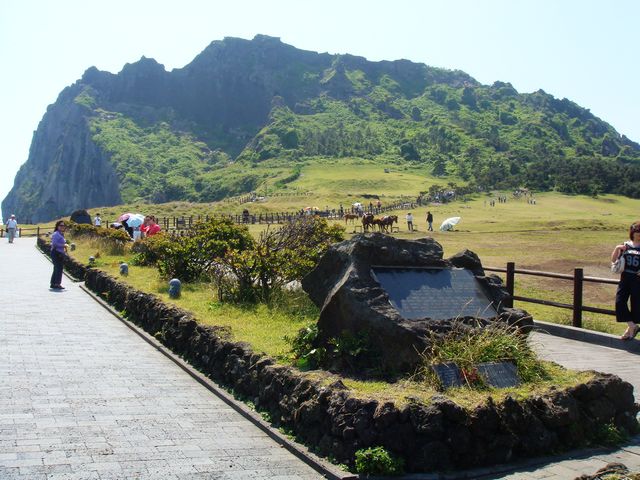 dsc01733.jpg