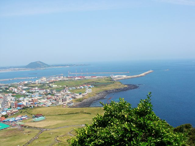 dsc01740.jpg