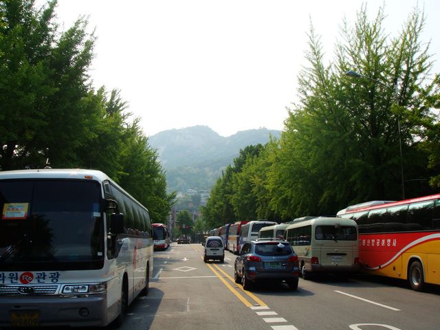 dsc01866.jpg