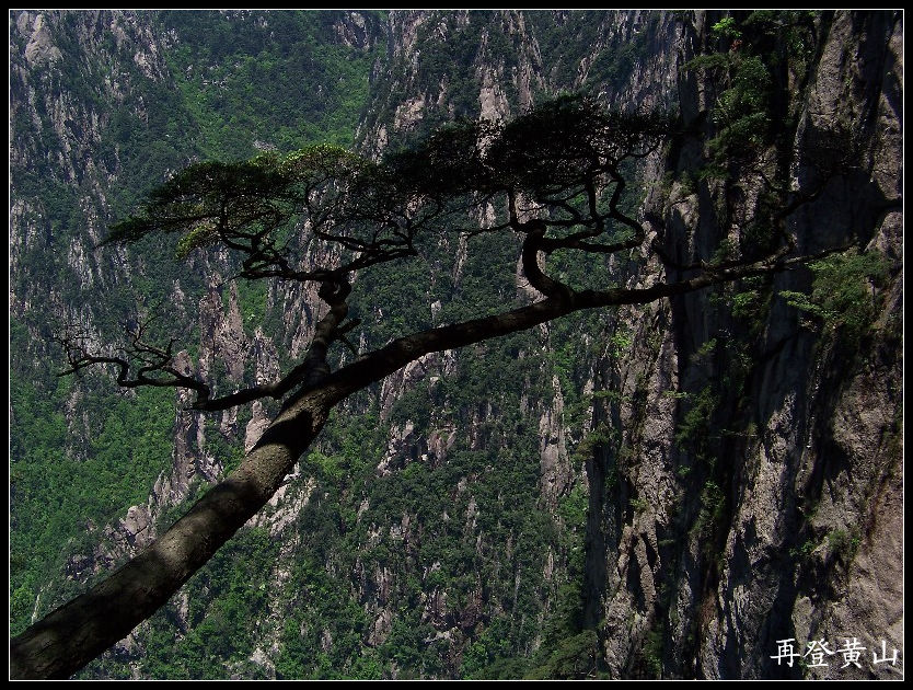20100524ɽkϿ (30)1139.jpg