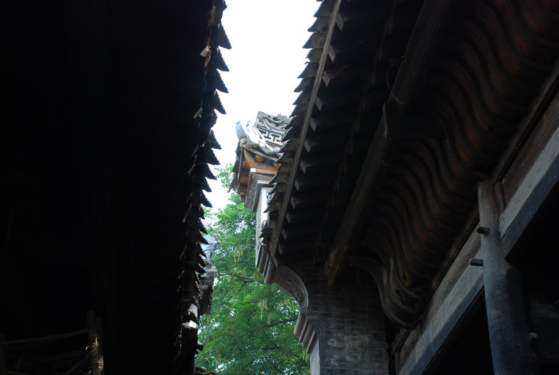 dsc_0558.jpg