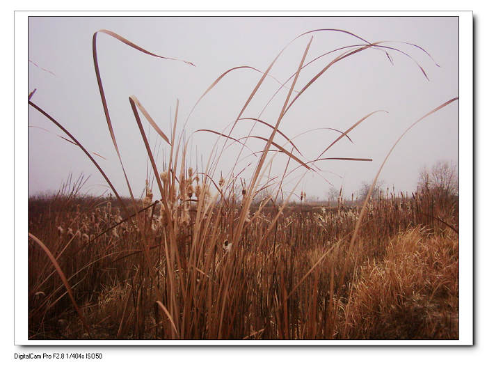 201012223118.jpg