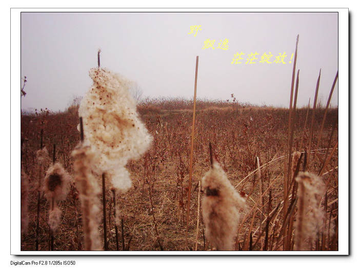 201012223335.jpg